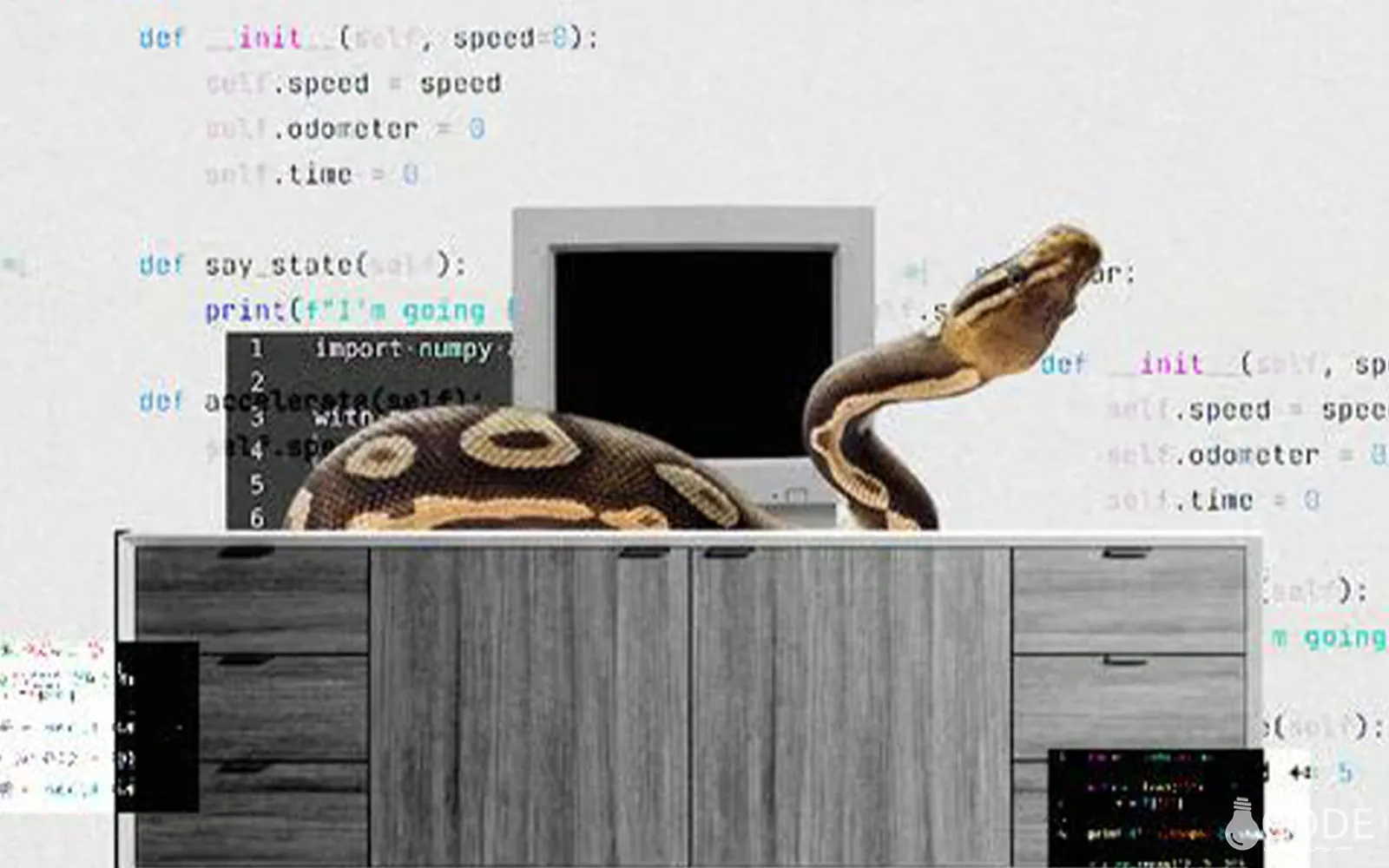 مقایسه حوزه وب/بک‌اند پایتون با تحلیل داده